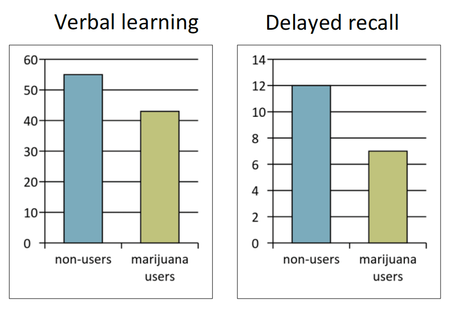 cannabis effect on learning